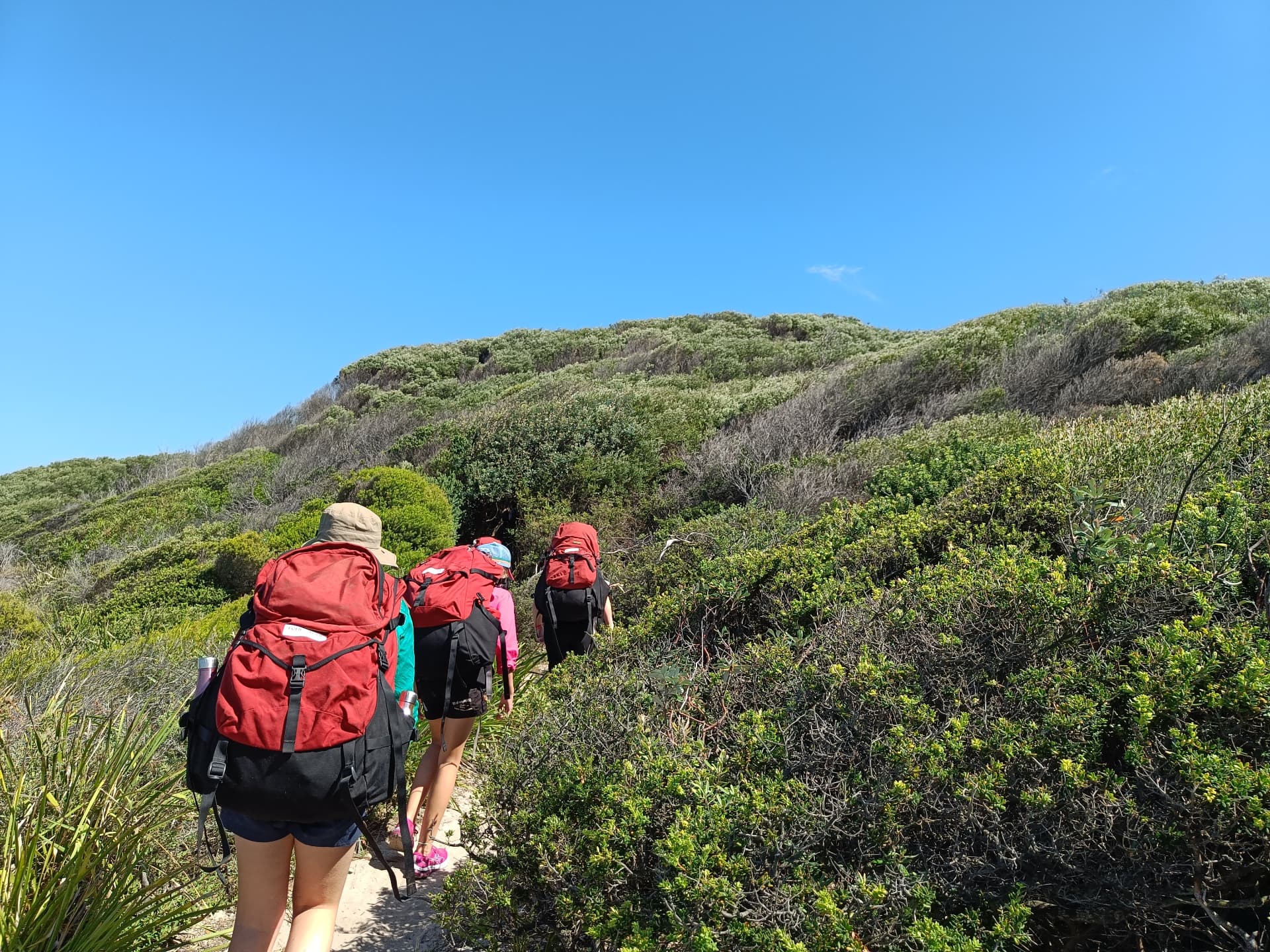 Participants hiking a coastal track with packs on